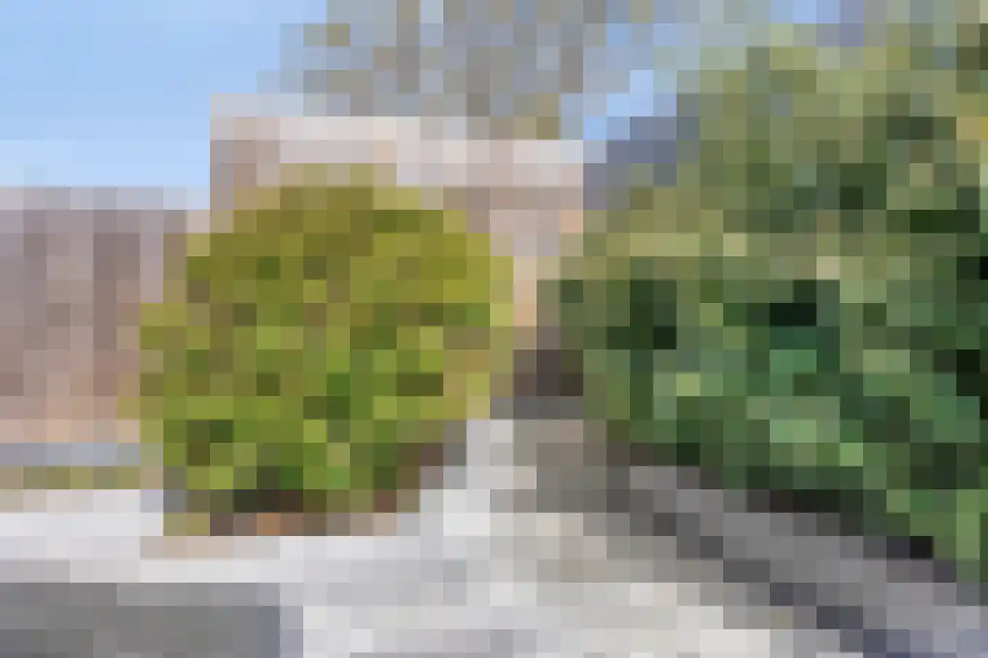 Het Lappennest 14 Noordwijk thumbnail 24