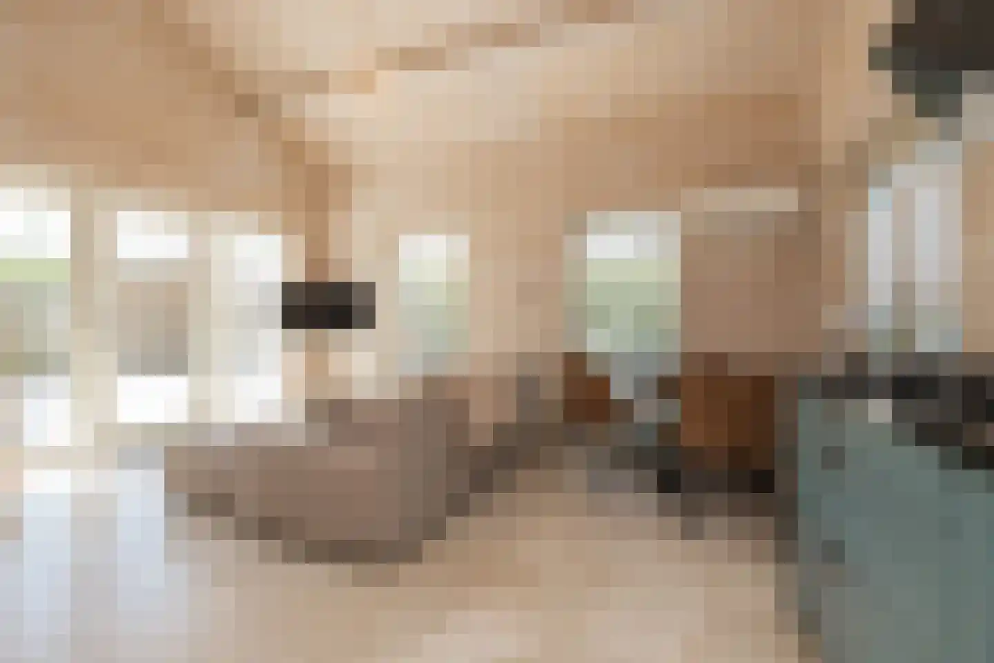 Het Lappennest 42 Noordwijk thumbnail 12