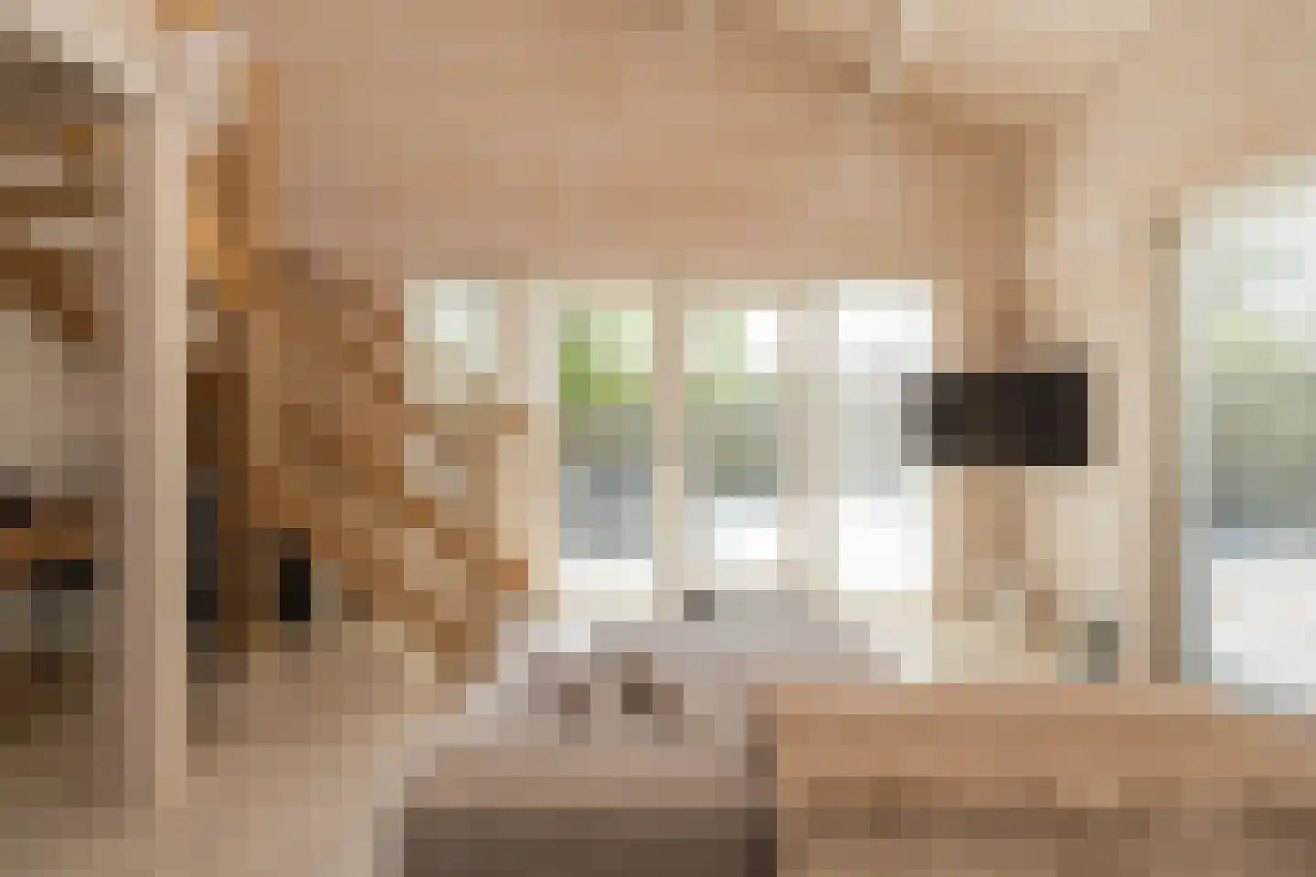 Het Lappennest 42 Noordwijk thumbnail 14