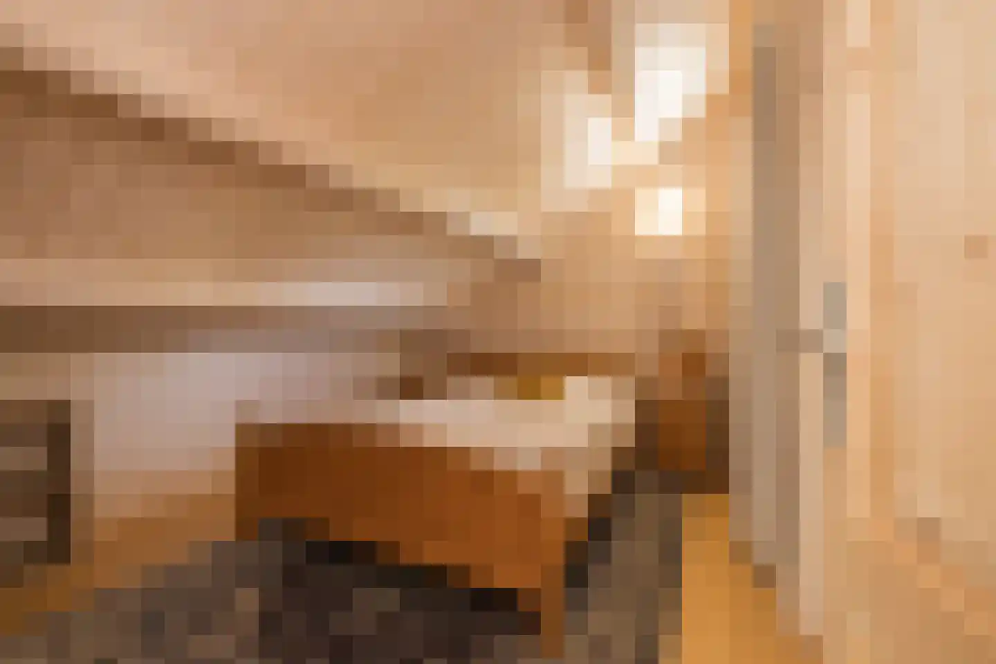 Het Lappennest 42 Noordwijk thumbnail 30