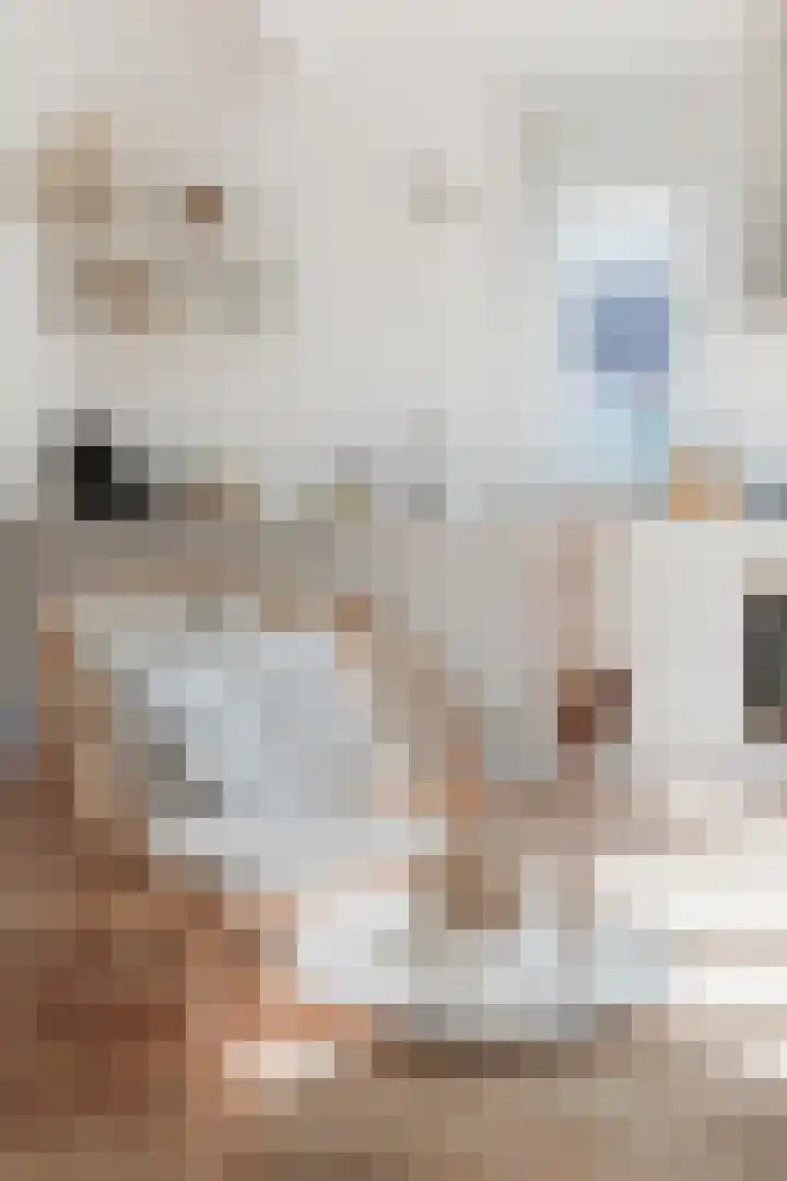 Het Lappennest 60 Noordwijk thumbnail 11
