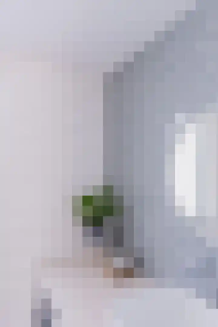 Het Lappennest 60 Noordwijk thumbnail 20
