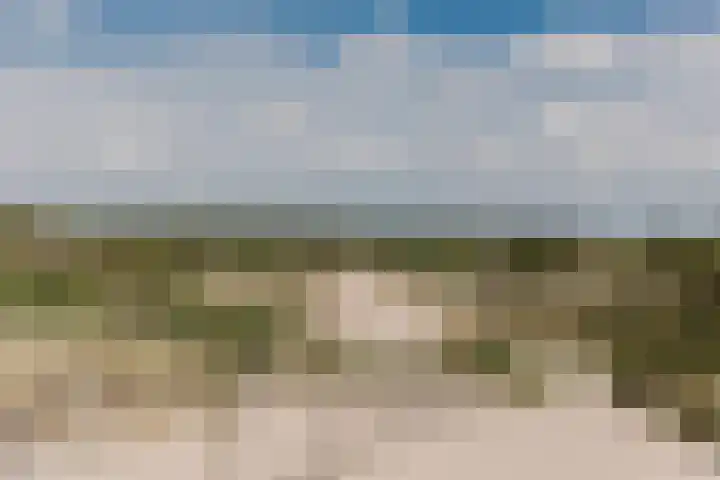 Het Lappennest 60 Noordwijk thumbnail 23