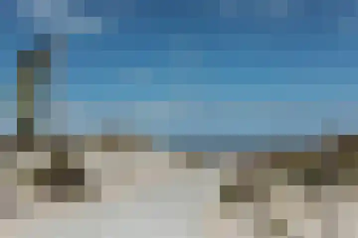 Het Lappennest 60 Noordwijk thumbnail 25