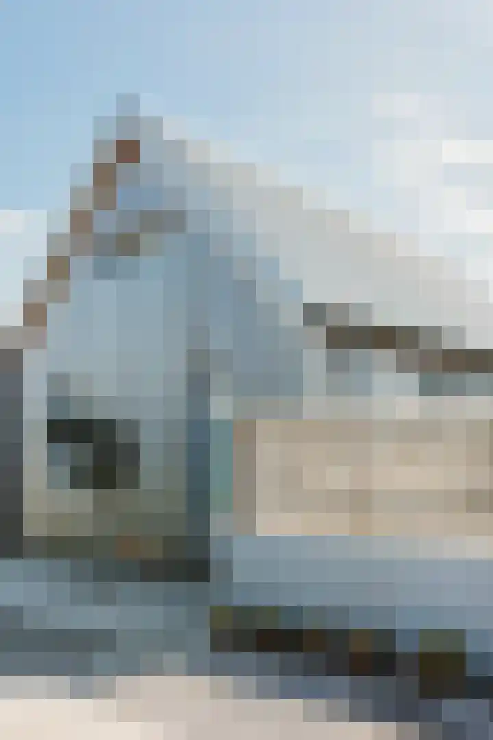 Het Lappennest 60 Noordwijk foto 3