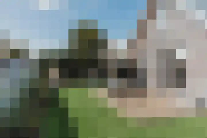 Het Lappennest 60 Noordwijk thumbnail 4