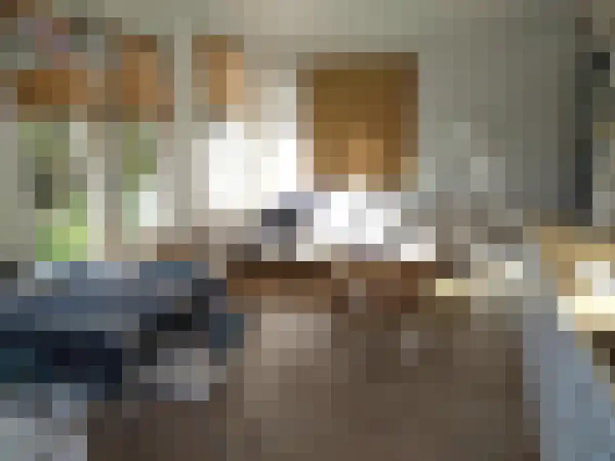 Het Lappennest 60 Noordwijk thumbnail 4
