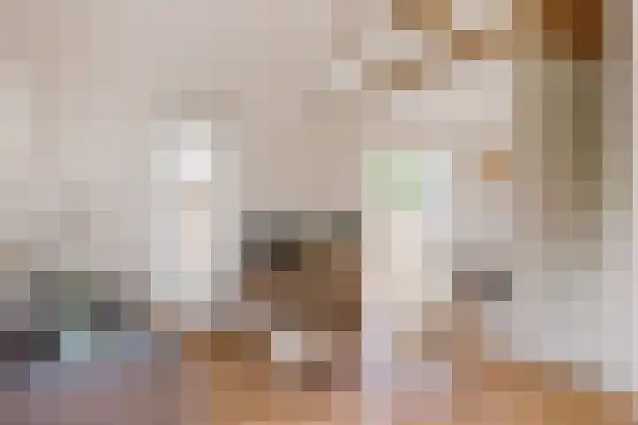 Het Lappennest 60 Noordwijk thumbnail 6