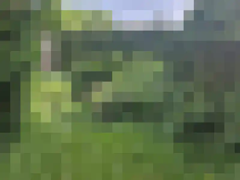 Het Leen 7 Hooge Mierde thumbnail 18