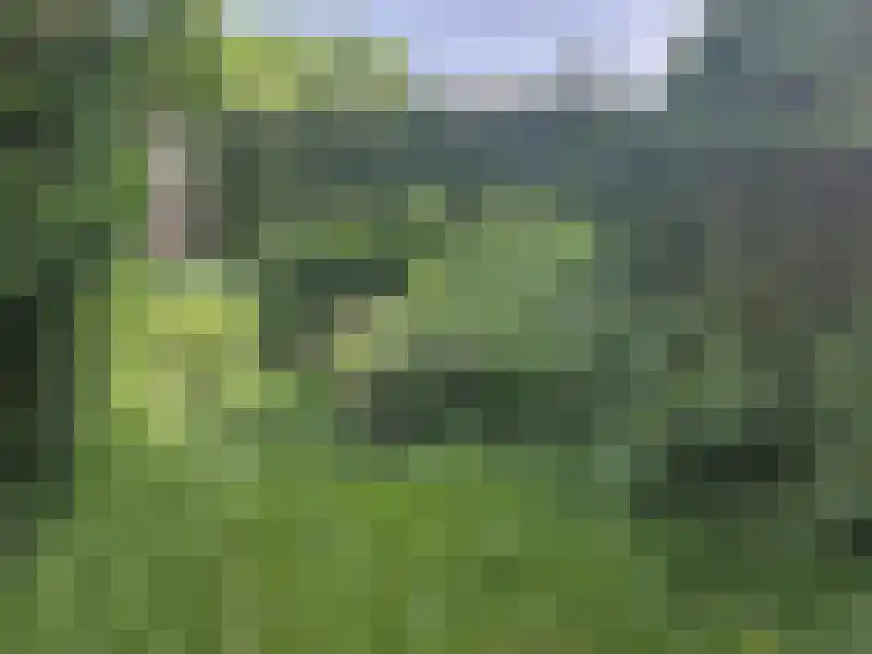 Het Leen 7 Hooge Mierde thumbnail 18