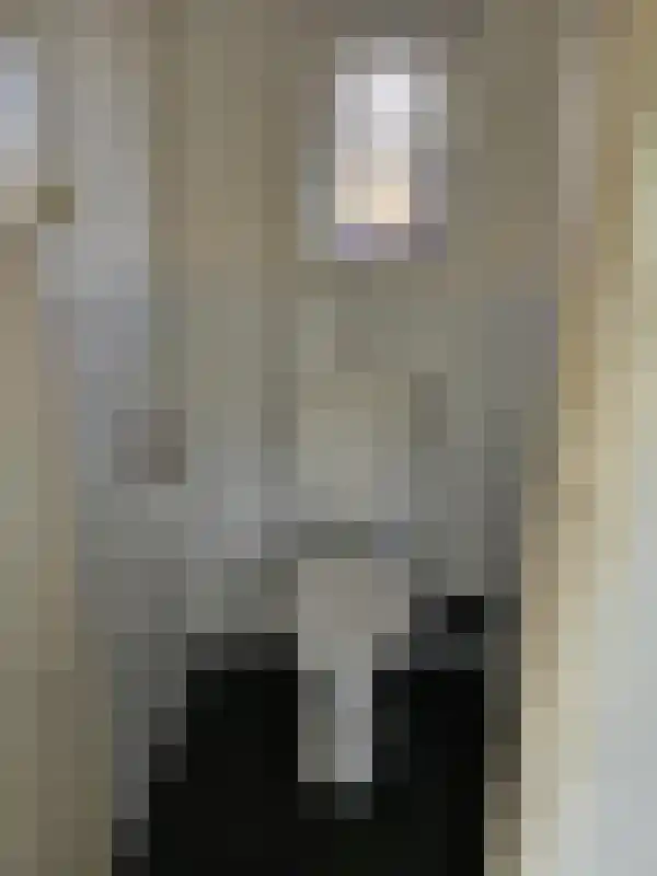 Het Leen 7 Hooge Mierde thumbnail 7