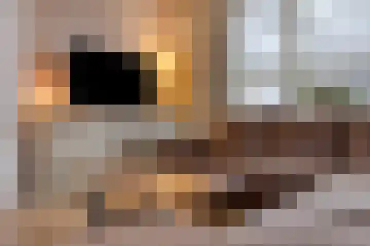 Het Leen 8 Hooge Mierde thumbnail 10