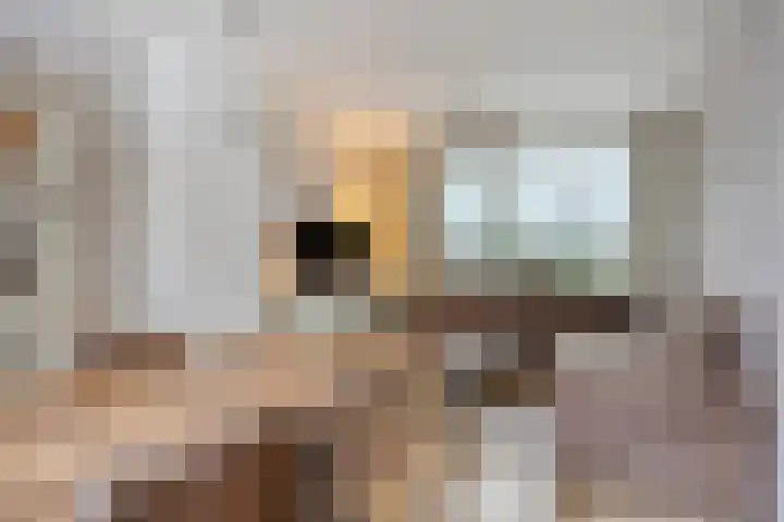 Het Leen 8 Hooge Mierde thumbnail 11