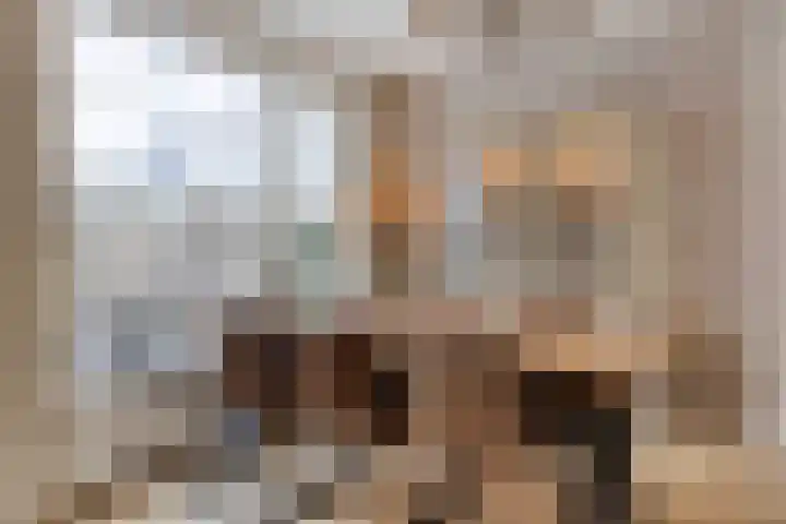 Het Leen 8 Hooge Mierde thumbnail 13