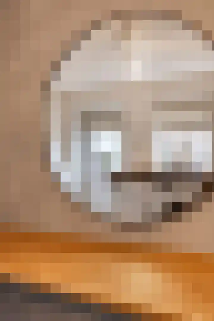 Het Leen 8 Hooge Mierde thumbnail 22