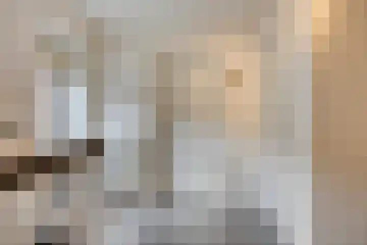 Het Leen 8 Hooge Mierde thumbnail 24