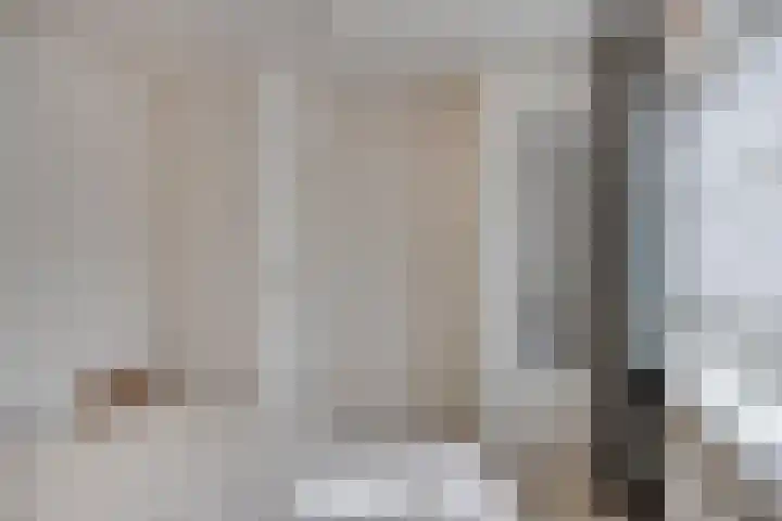 Het Leen 8 Hooge Mierde thumbnail 30
