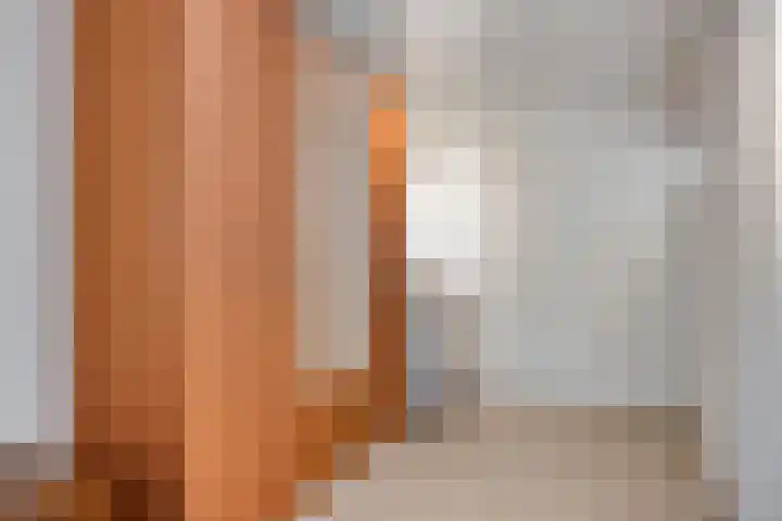Het Leen 8 Hooge Mierde thumbnail 32