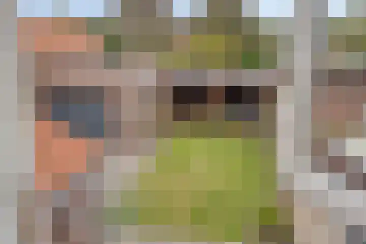 Het Leen 8 Hooge Mierde thumbnail 37