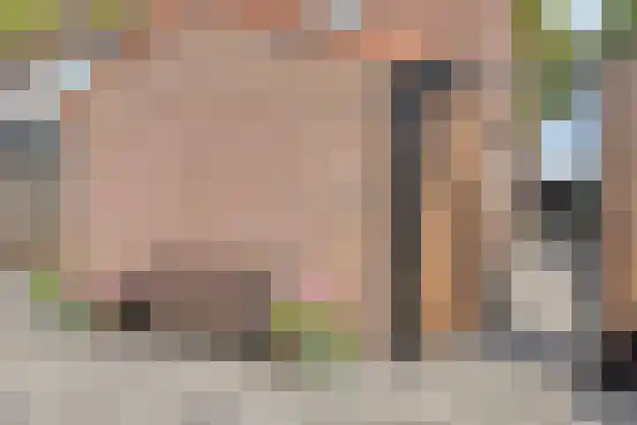 Het Leen 8 Hooge Mierde thumbnail 45