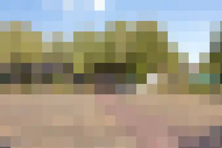 Het Leen 8 Hooge Mierde thumbnail 50