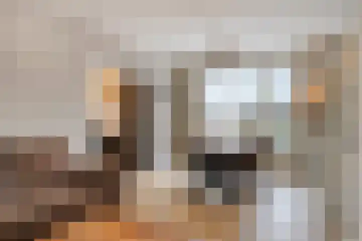 Het Leen 8 Hooge Mierde thumbnail 9