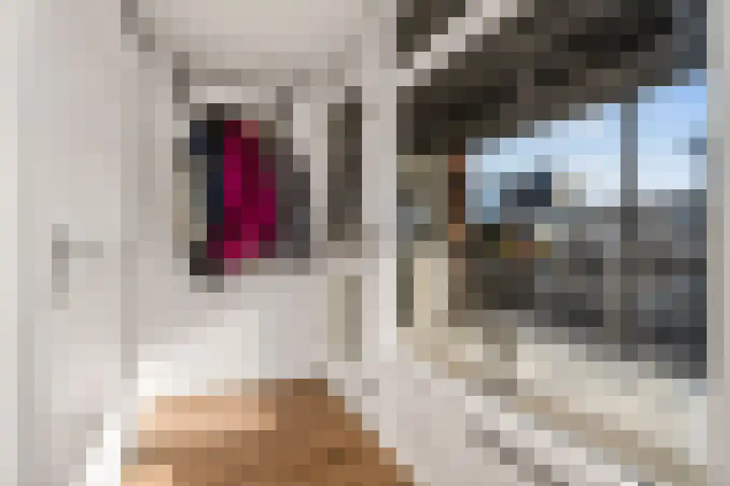 Het Leiwerk 24 Vleuten thumbnail 20