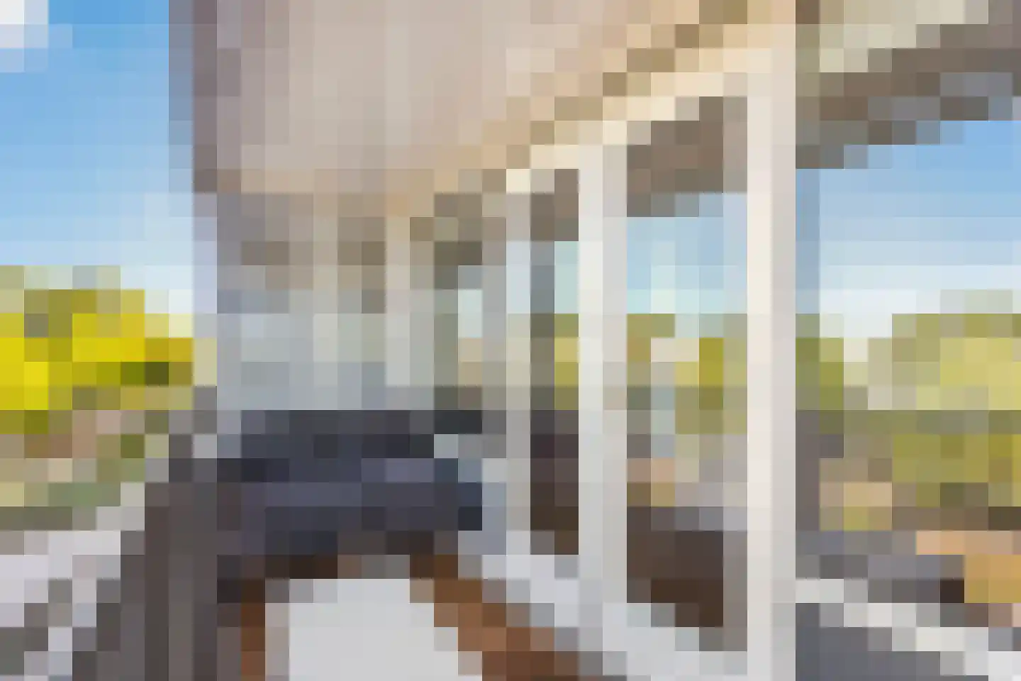 Het Leiwerk 24 Vleuten thumbnail 5