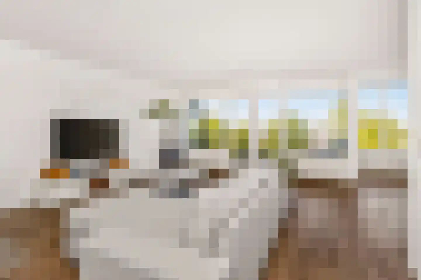 Het Leiwerk 24 Vleuten thumbnail 8