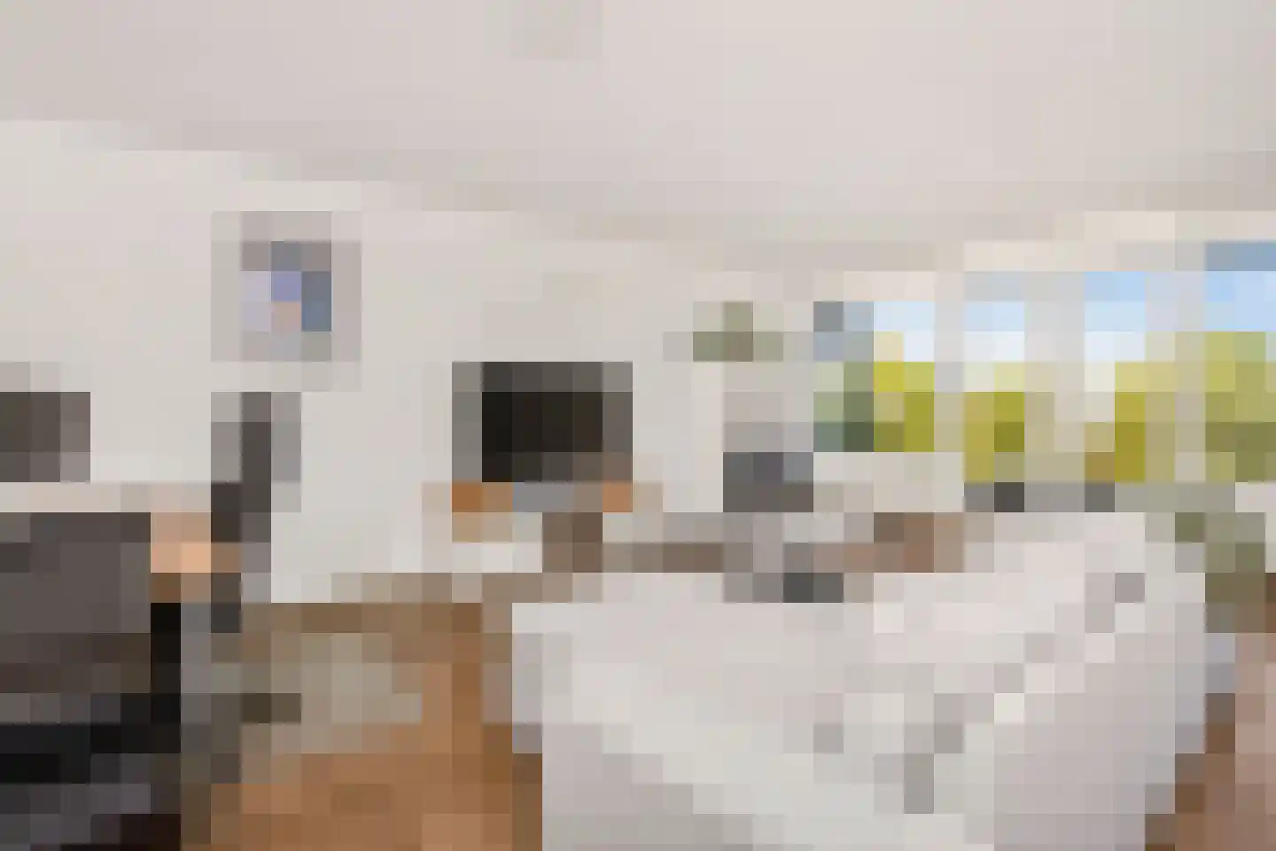Het Leiwerk 24 Vleuten thumbnail 9