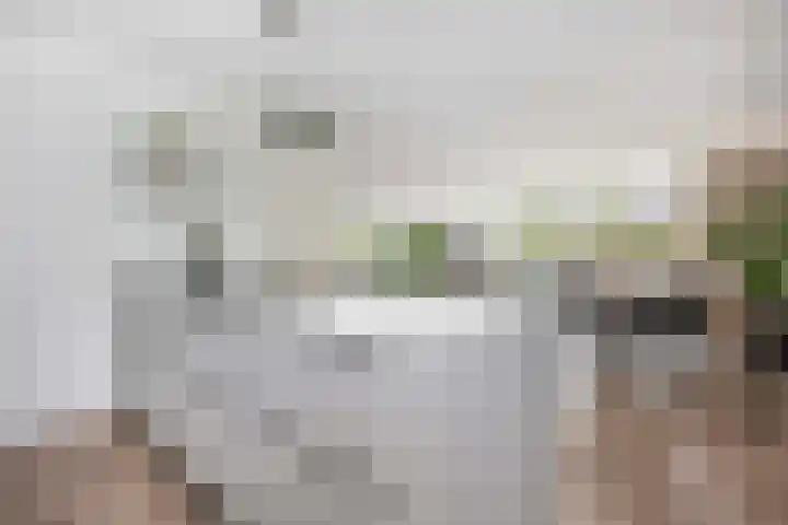 Het Leiwerk 31 Vleuten thumbnail 12