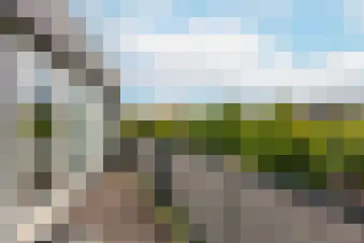 Het Leiwerk 31 Vleuten thumbnail 14