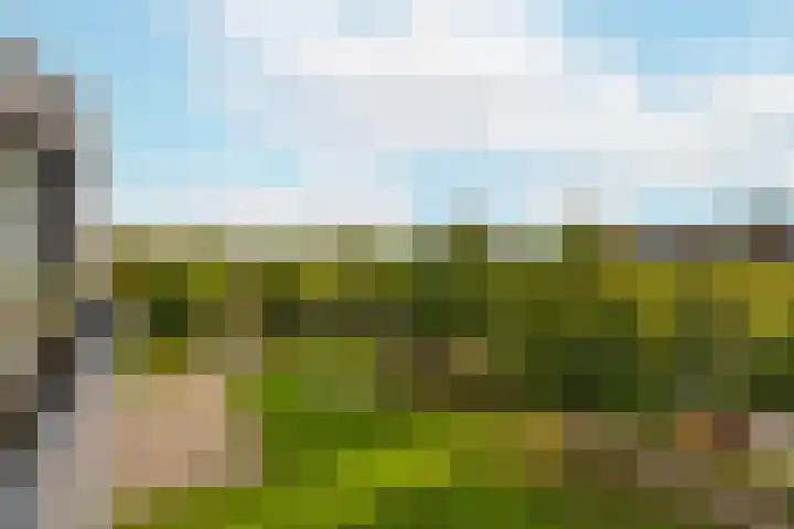 Het Leiwerk 31 Vleuten thumbnail 15