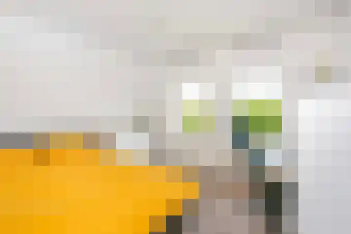 Het Leiwerk 31 Vleuten thumbnail 16