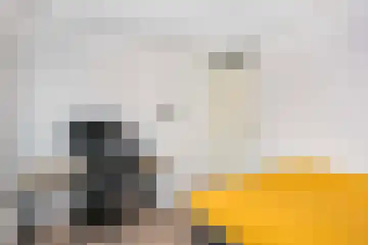 Het Leiwerk 31 Vleuten thumbnail 17