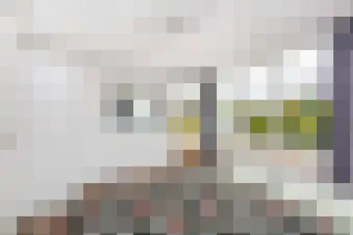 Het Leiwerk 31 Vleuten thumbnail 19