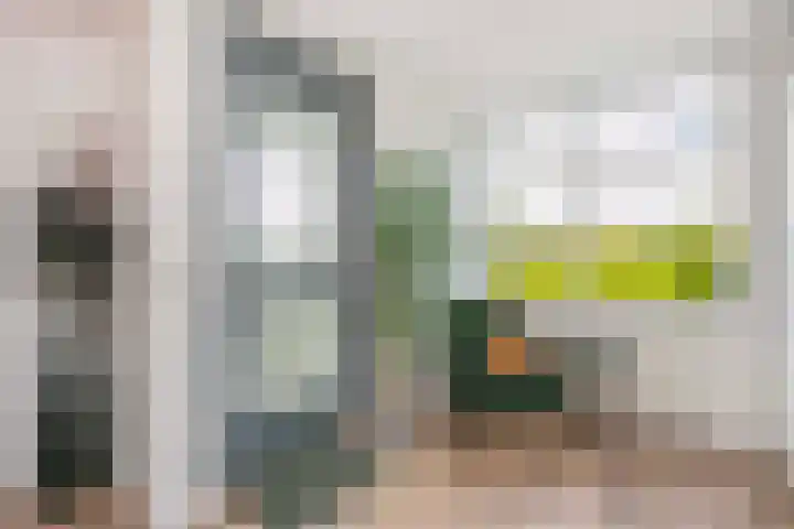 Het Leiwerk 31 Vleuten thumbnail 24