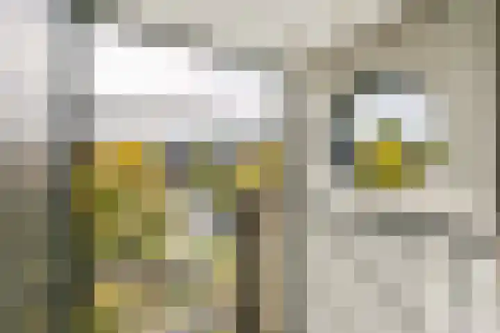 Het Leiwerk 31 Vleuten thumbnail 25