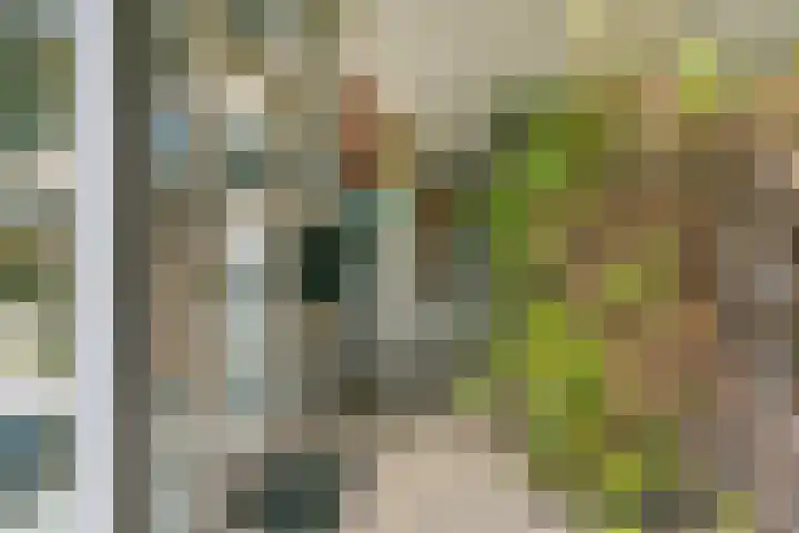 Het Leiwerk 31 Vleuten thumbnail 26