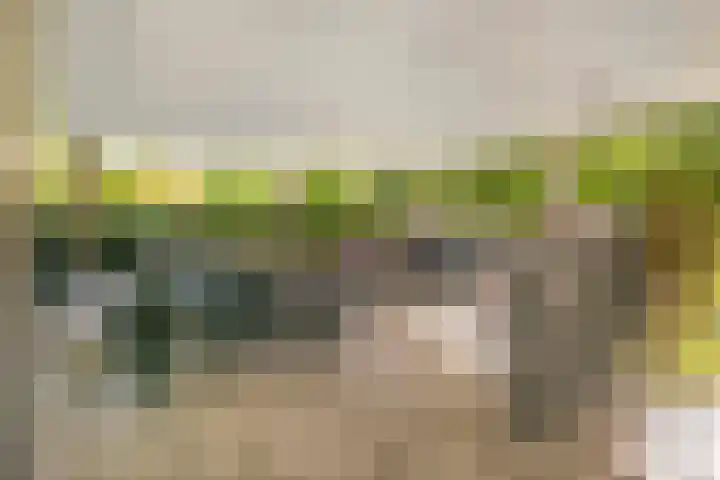 Het Leiwerk 31 Vleuten thumbnail 27