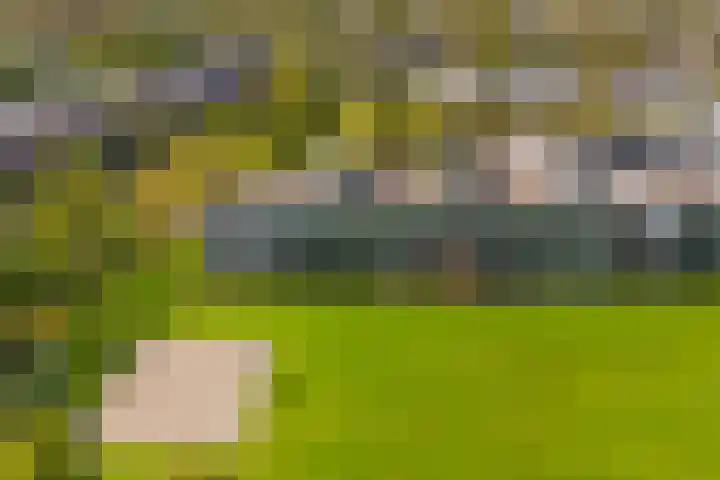 Het Leiwerk 31 Vleuten thumbnail 28