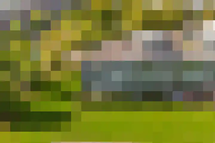 Het Leiwerk 31 Vleuten thumbnail 29