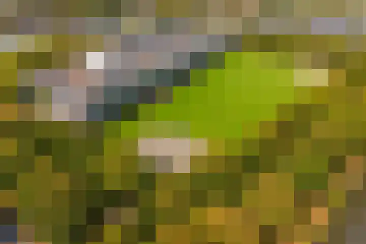 Het Leiwerk 31 Vleuten thumbnail 31