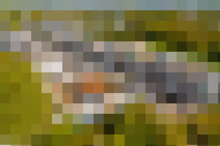 Het Leiwerk 31 Vleuten thumbnail 32