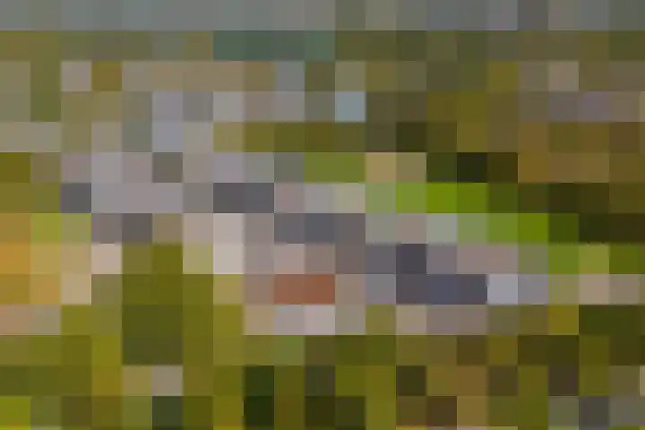 Het Leiwerk 31 Vleuten thumbnail 33