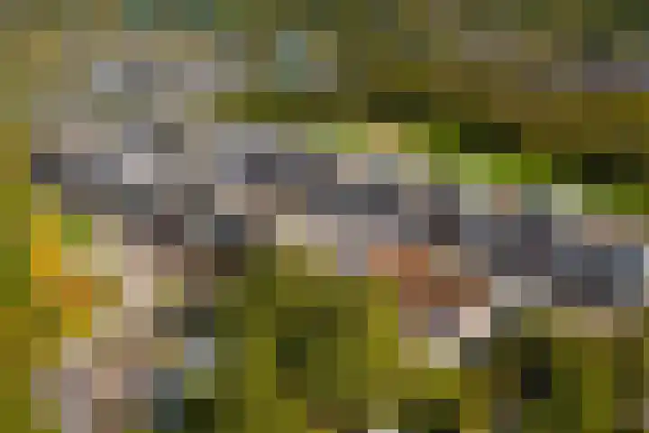 Het Leiwerk 31 Vleuten thumbnail 34