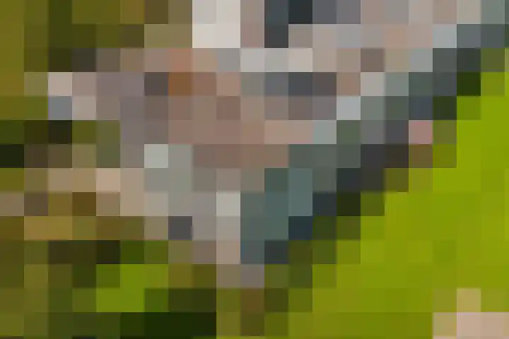 Het Leiwerk 31 Vleuten thumbnail 4