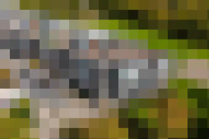 Het Leiwerk 31 Vleuten thumbnail 5