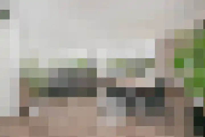 Het Leiwerk 31 Vleuten thumbnail 7