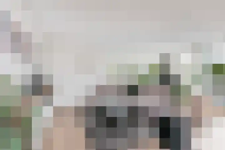 Het Leiwerk 31 Vleuten thumbnail 8